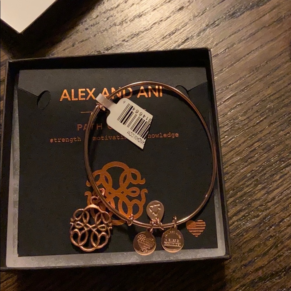 Alex and ani path of life bracelet